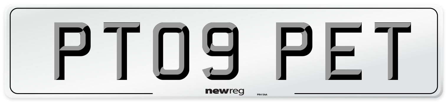 PT09 PET Number Plate from New Reg